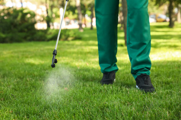 Best Residential Pest Control  in Whitehall, OH