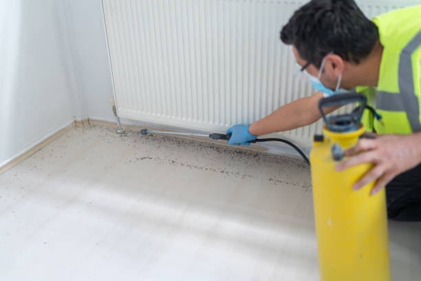 Best Ant Control Services  in Whitehall, OH